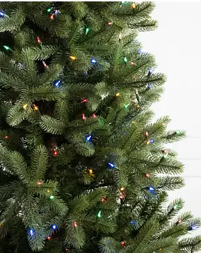Woodland Spruce Woodland Spruce