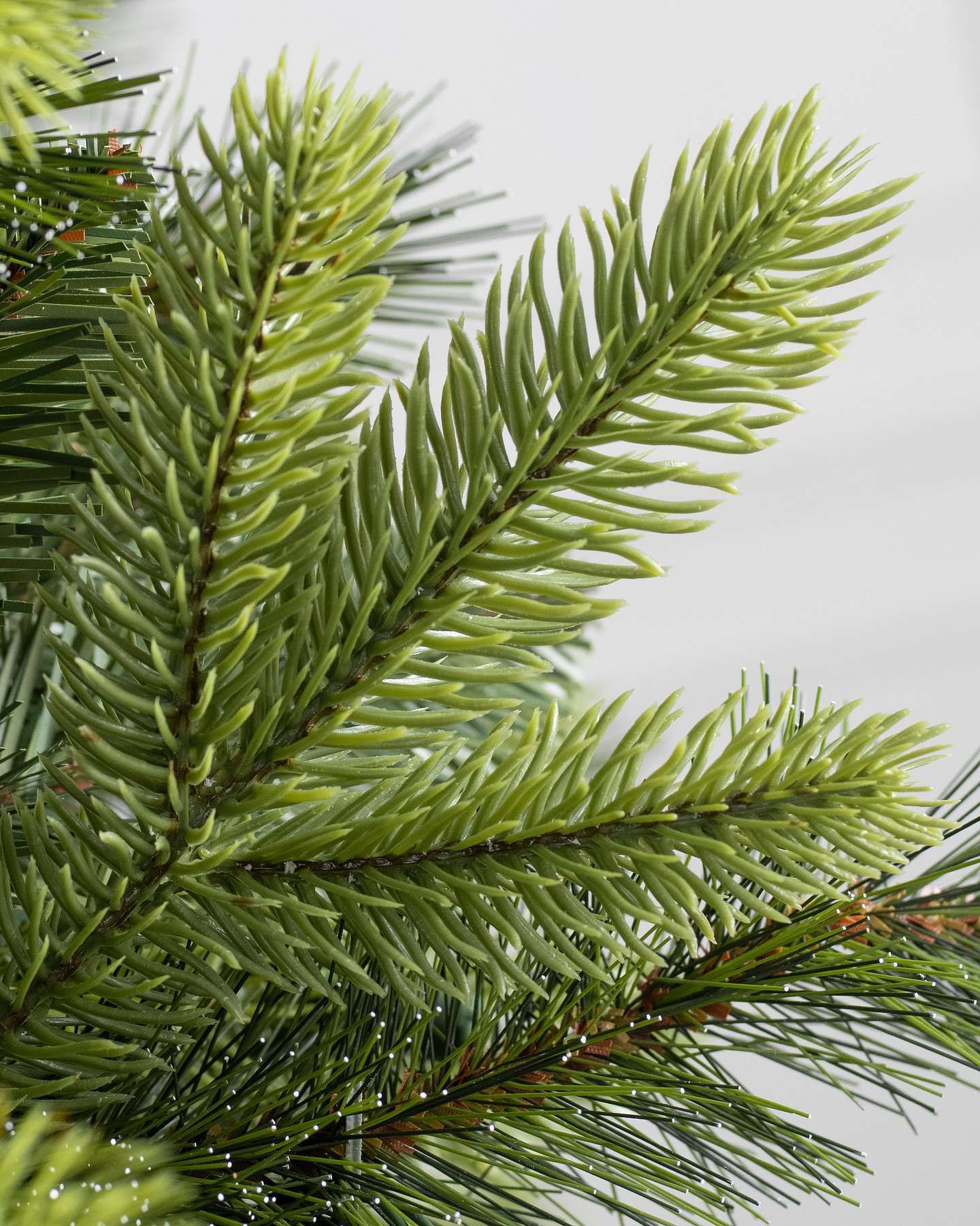 Swiss Mountain Pine by Balsam Hill Detail