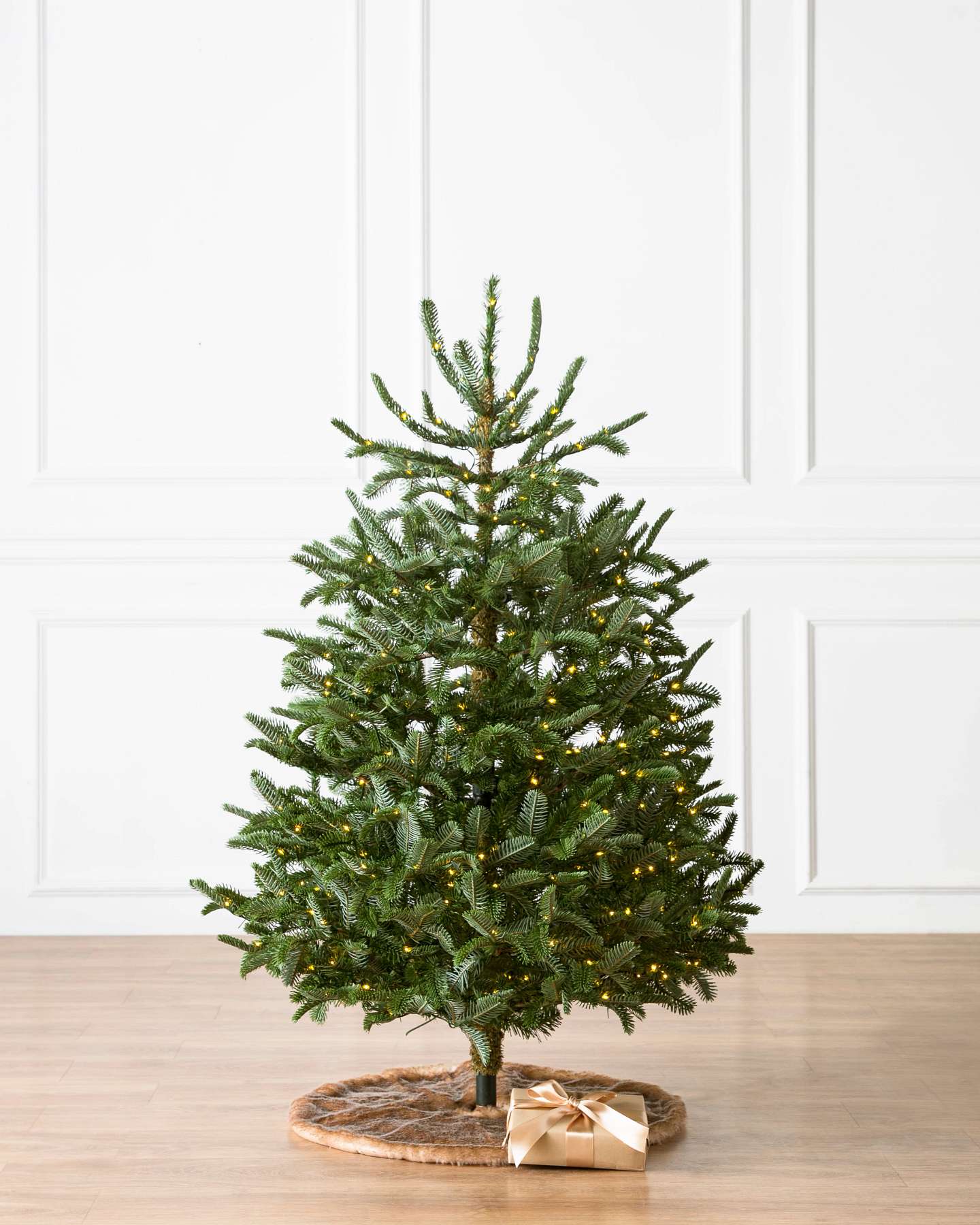 4.5ft Baby Nordmann by Balsam Hill SSC