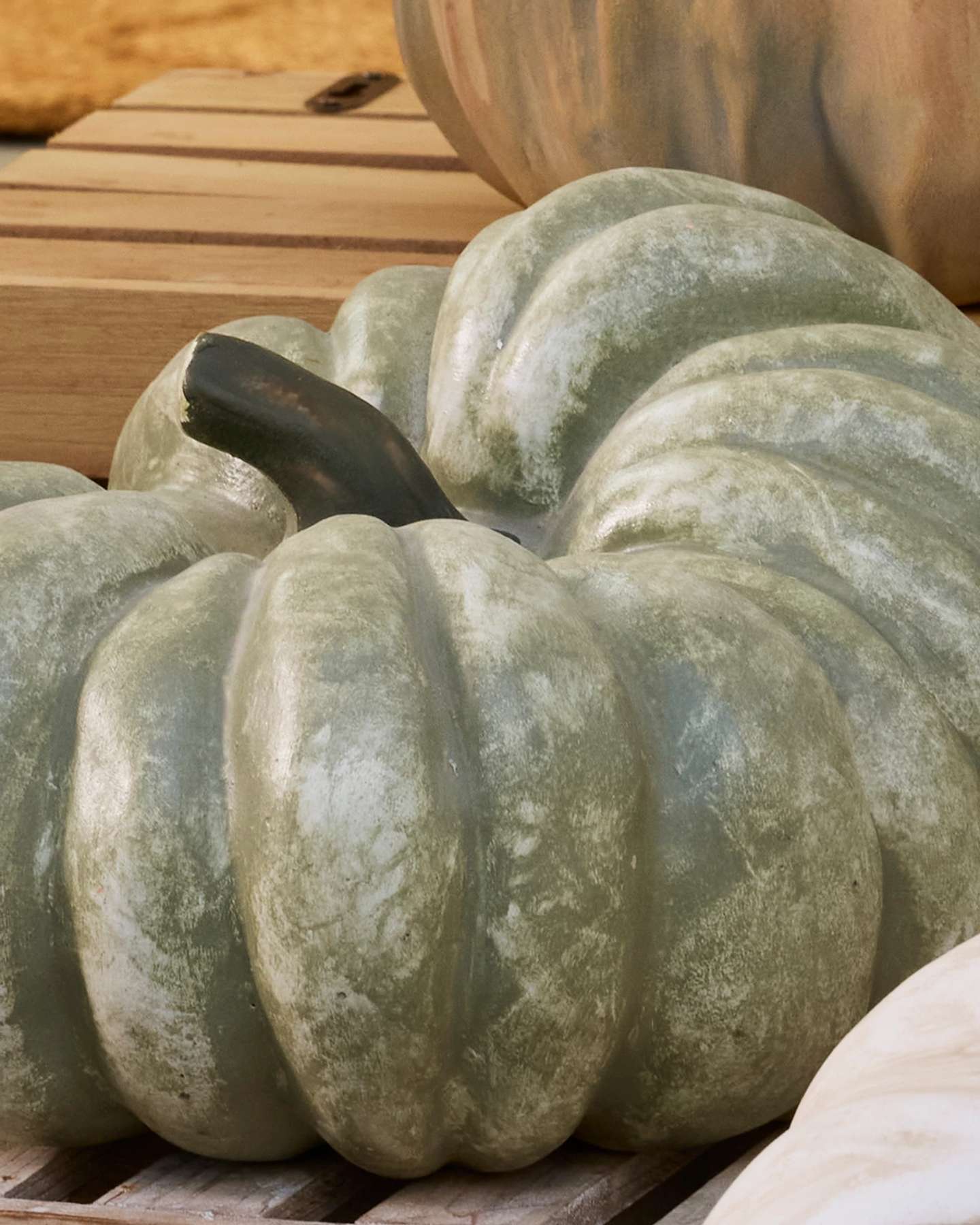 Terra Cotta Pumpkins Set of 3 by Balsam Hill Closeup 10