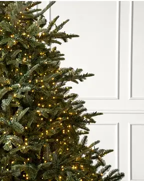 Sapin de Nordmann Sapin de Nordmann