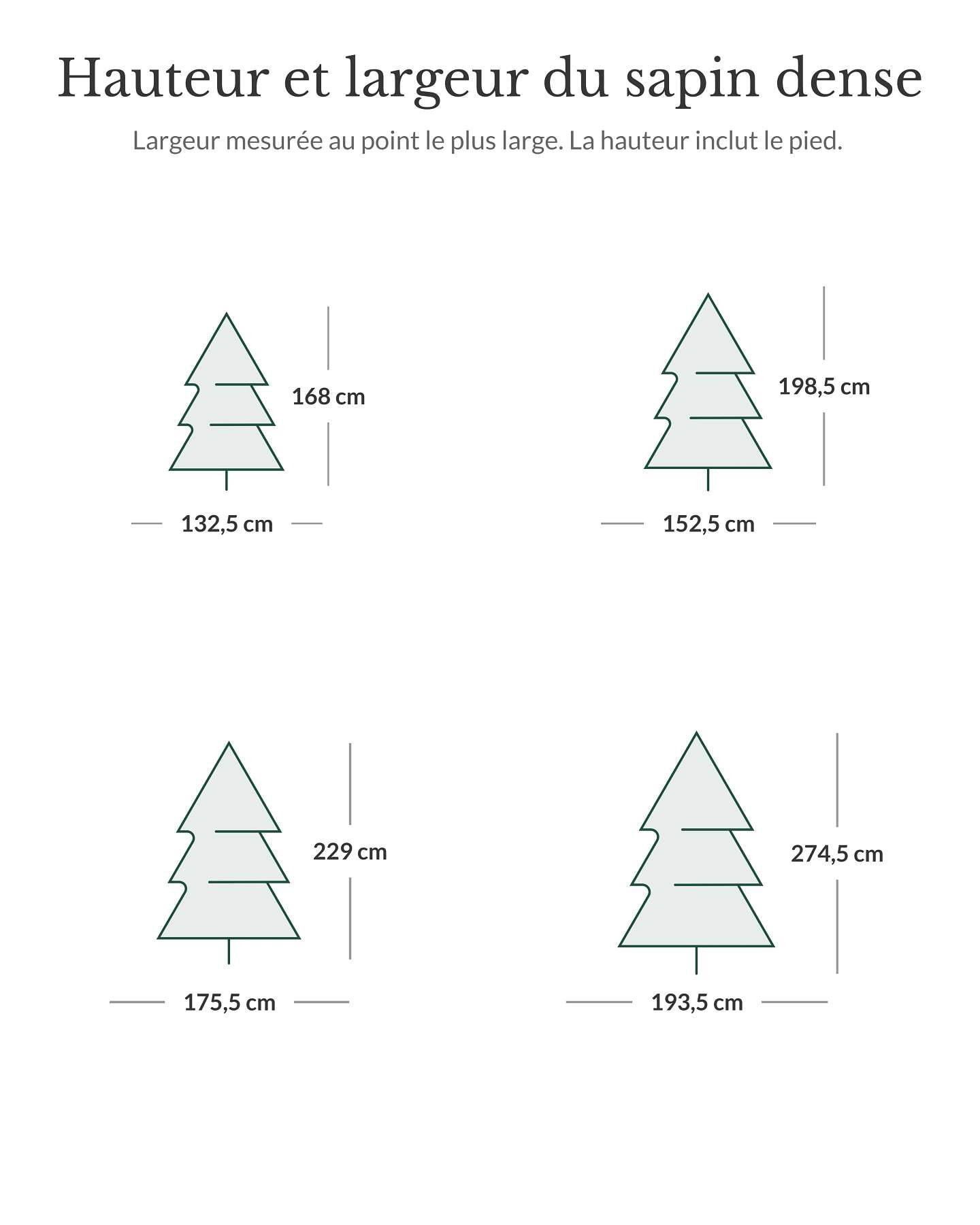 Sapin commun