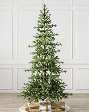 Alpiner Baum Alpiner Baum