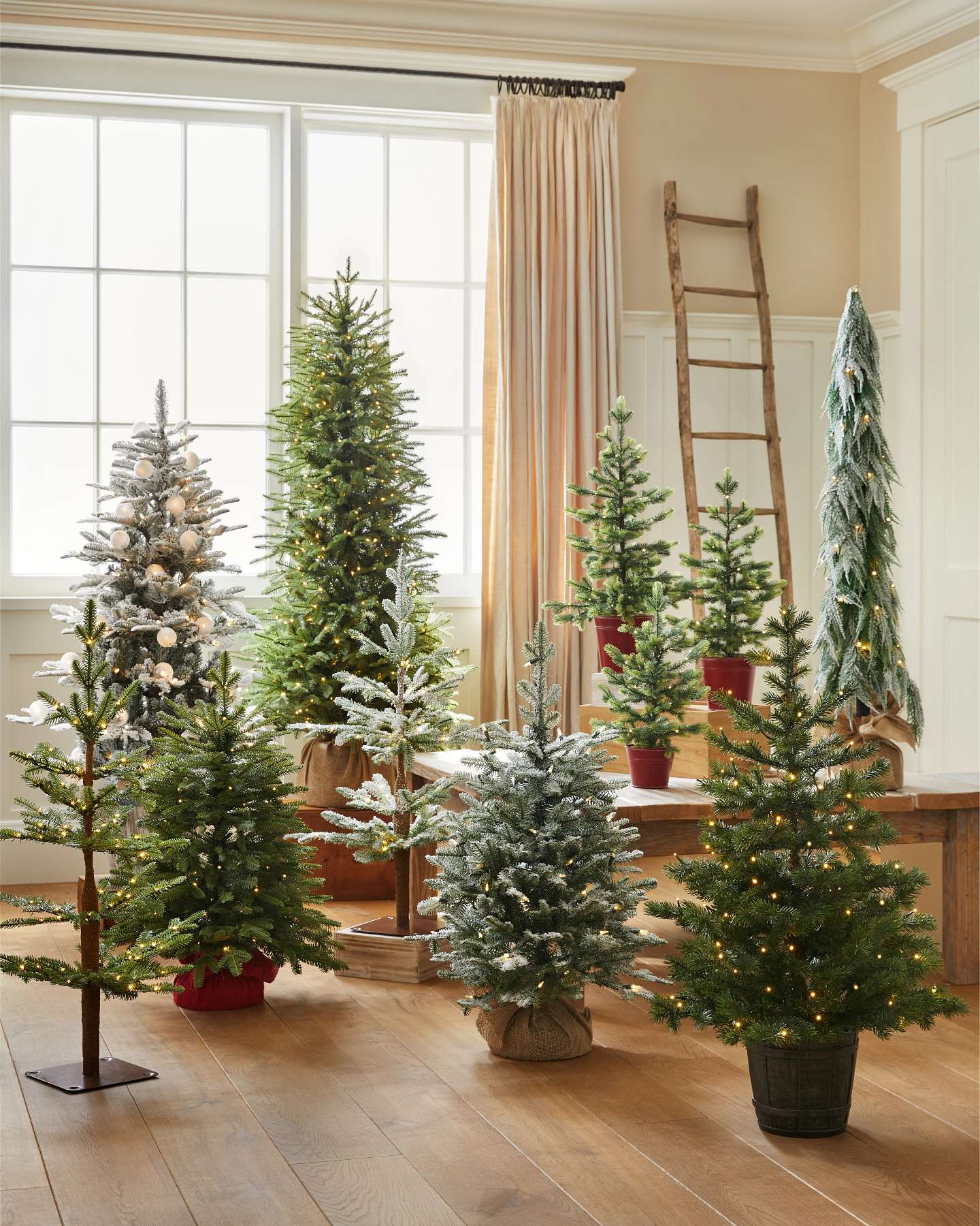 Balsam Hill Balsam Fir Tabletop Artificial Christmas Tree with Burlap Base Lifestyle Display with other Christmas Trees