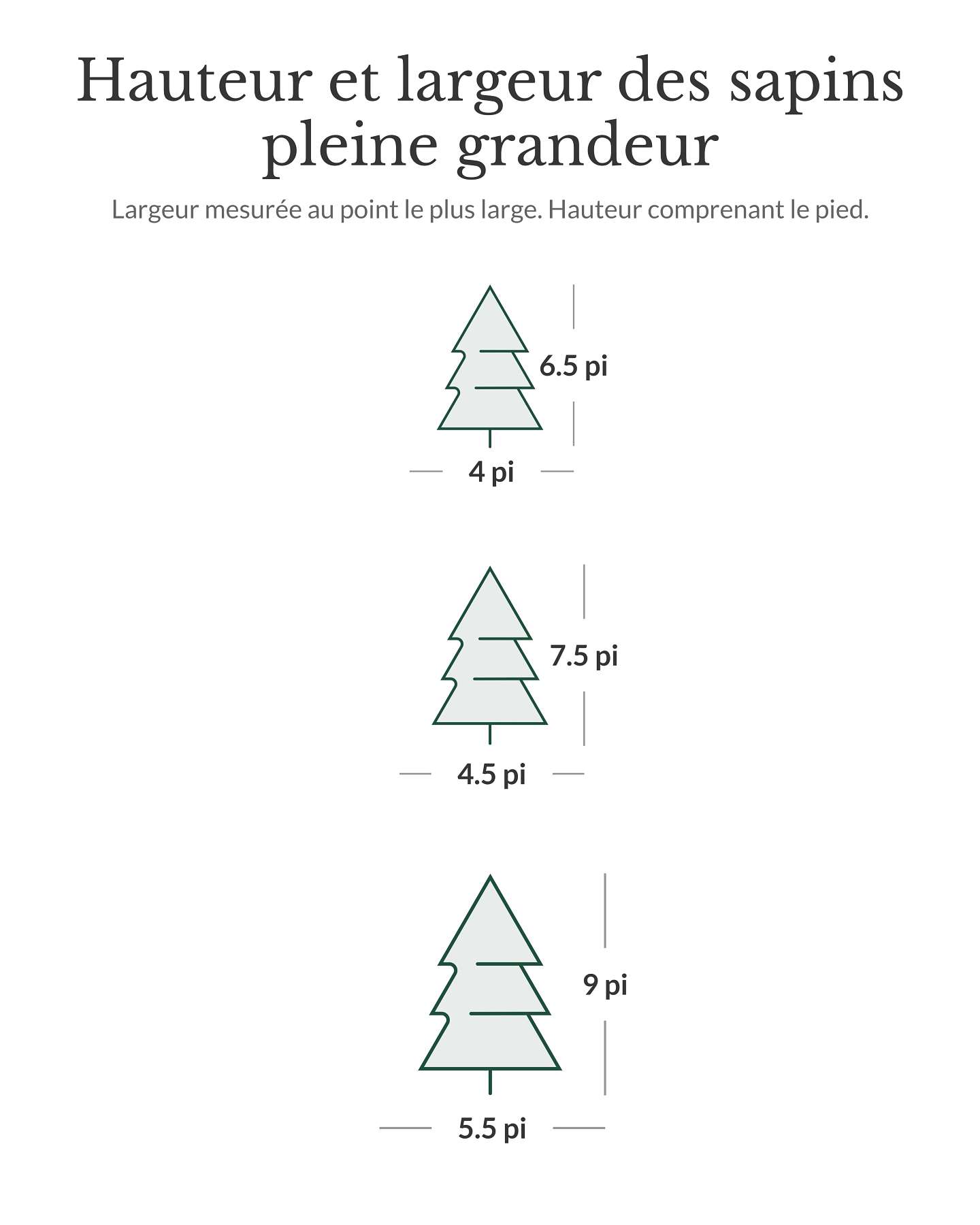 Sapin Fraser givré de 6,5 pi