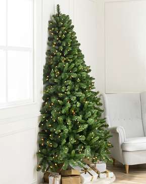 Halber Baum Kensington Halber Baum Kensington