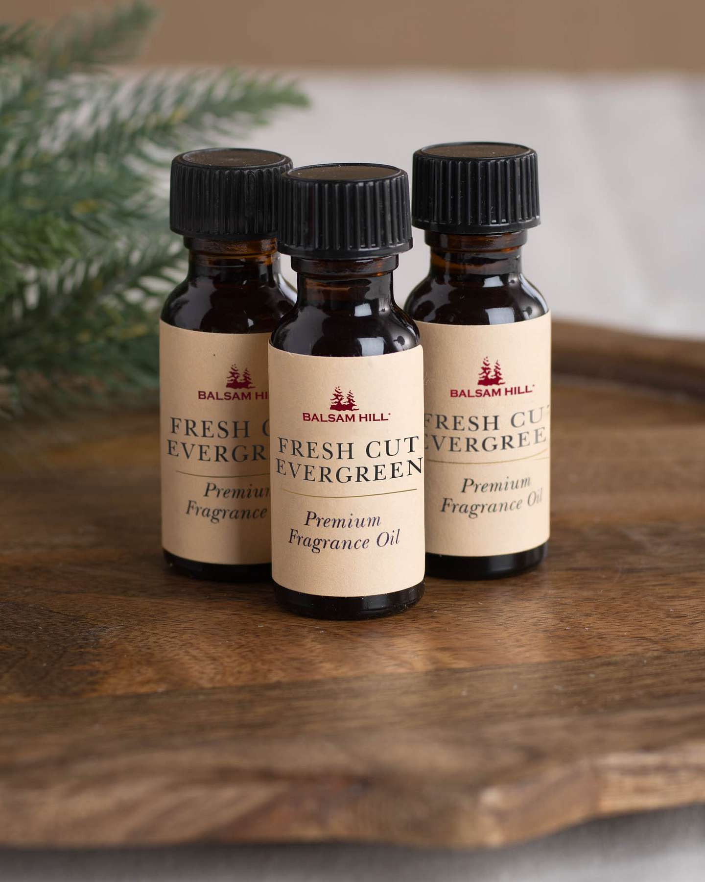 Ensemble de 3 cartouches de parfum d’ambiance de conifères fraîchement coupés Balsam Hill