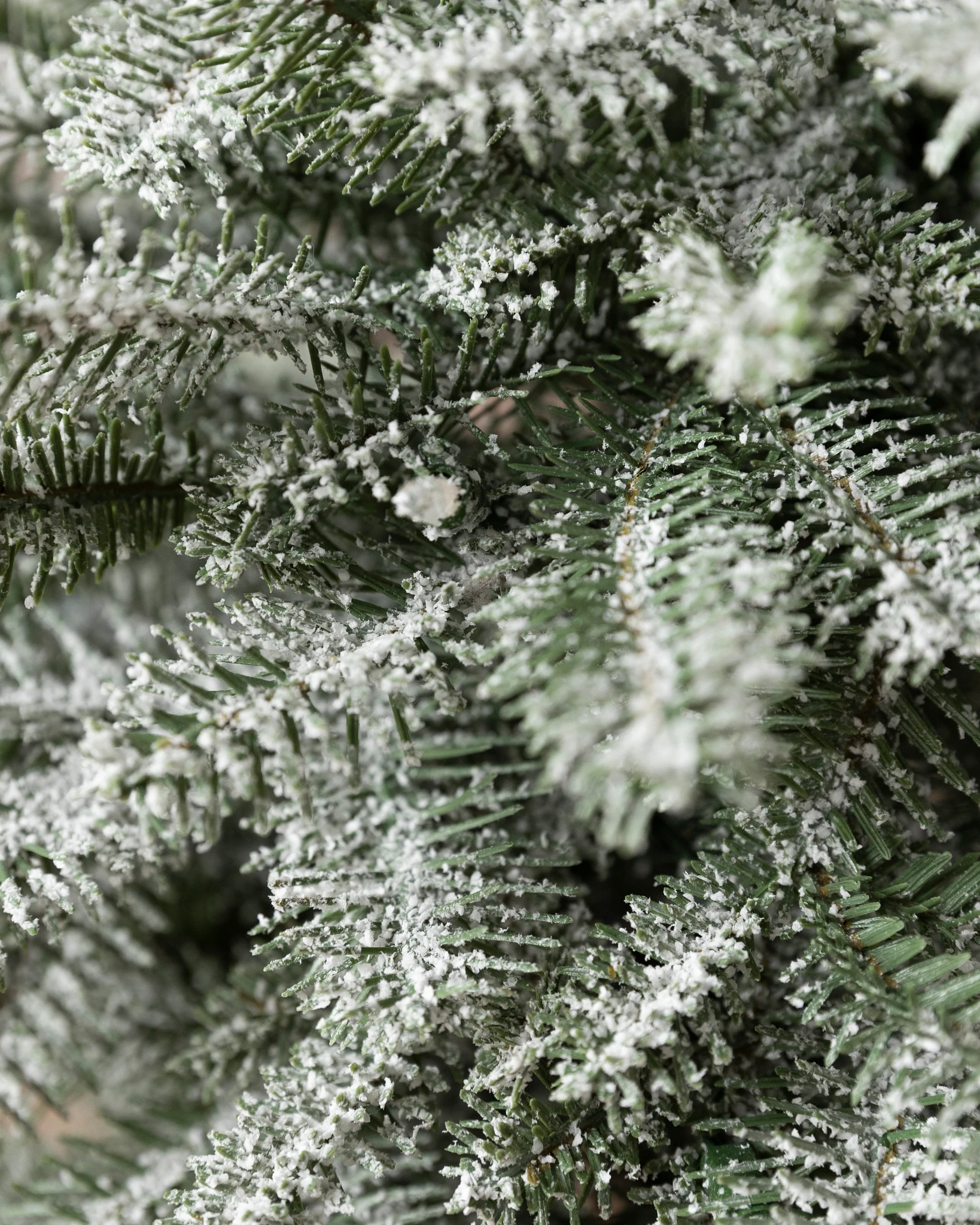 BH Frosted Balsam Fir® Tabletop Tree