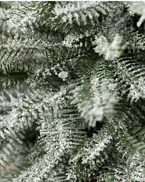 BH Frosted Balsam Fir® Tabletop Tree BH Frosted Balsam Fir® Tabletop Tree