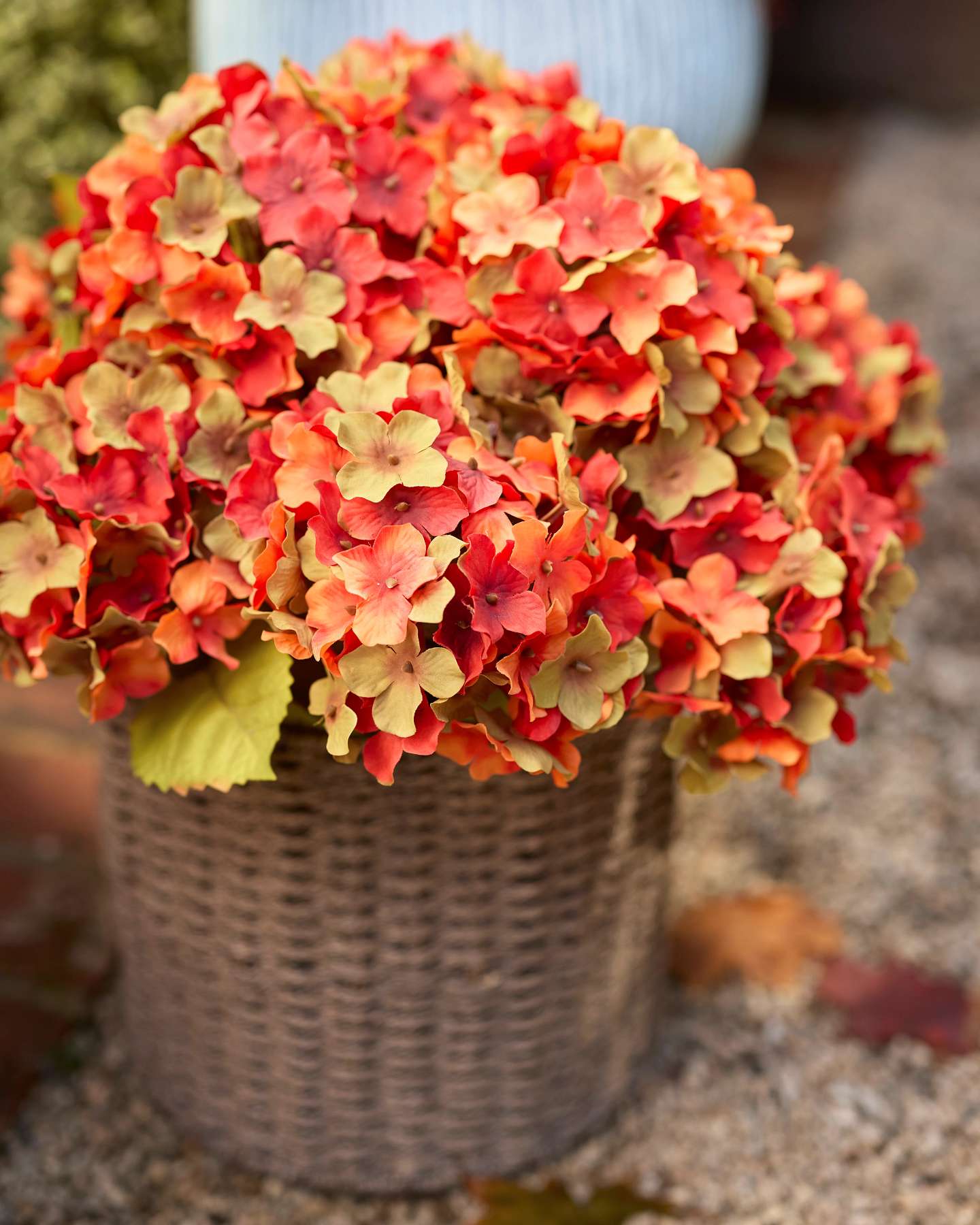 22" Orange Rustic Hydrangea Pot Fillers, 2-Pack