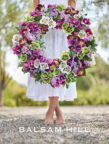 Merry Christmas 2022 Stream Thumbnails Artificial Christmas Trees Online Catalog | Balsam Hill