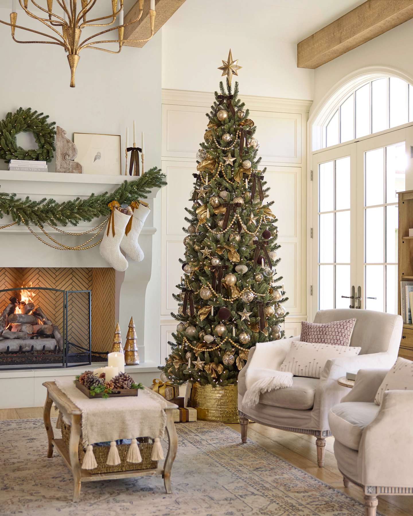 Vermont White Spruce Narrow