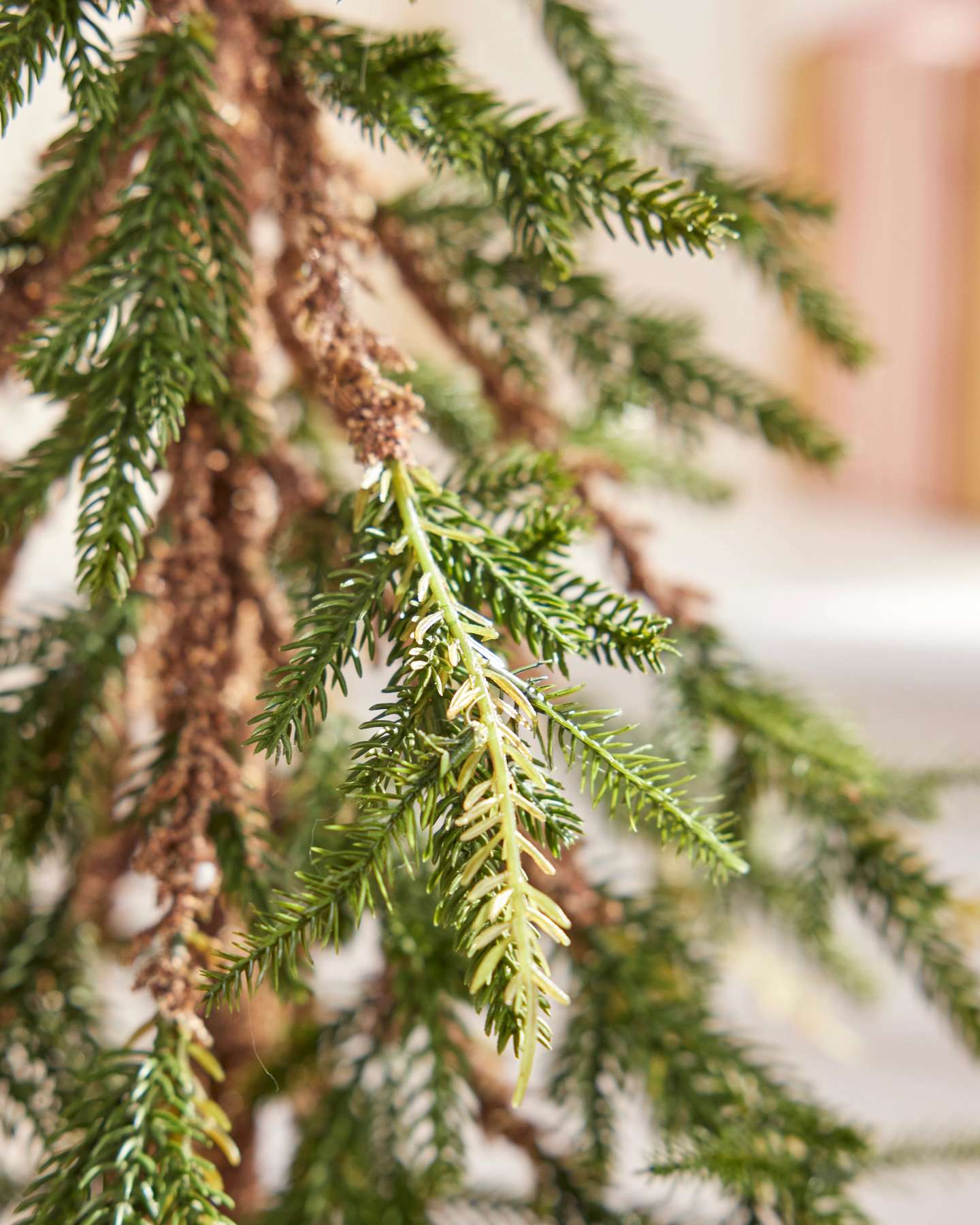 Rustic Evergreen Pine Trees, Set of 2