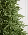 Saratoga Spruce Unlit by Balsam Hill Closeup 10
