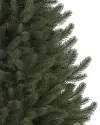 Vermont White Spruce Narrow by Balsam Hill Closeup 40