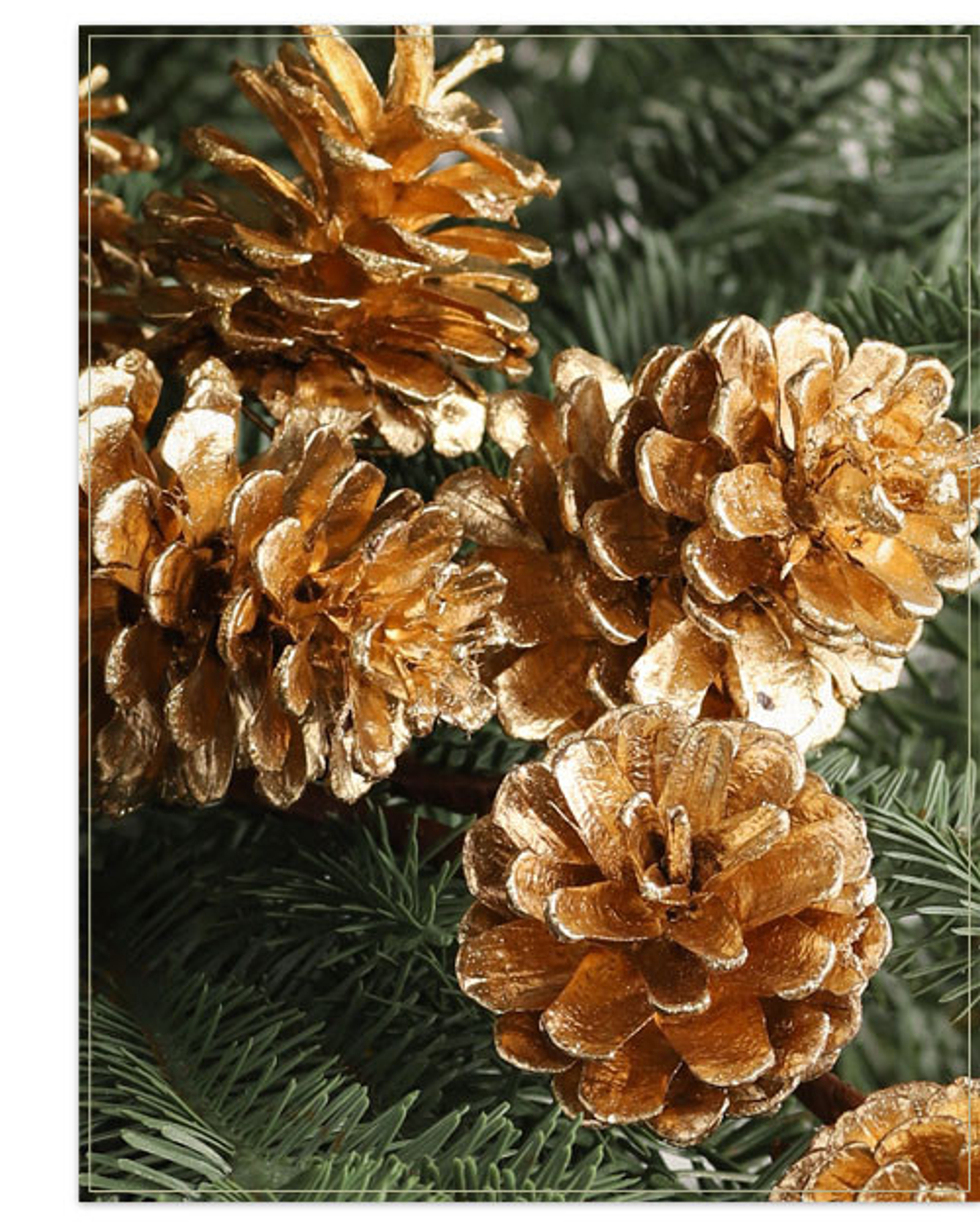 12 Pieces Christmas Tree Pine Cones Ornaments Pine Cones with Bell Pen –  Puppipop