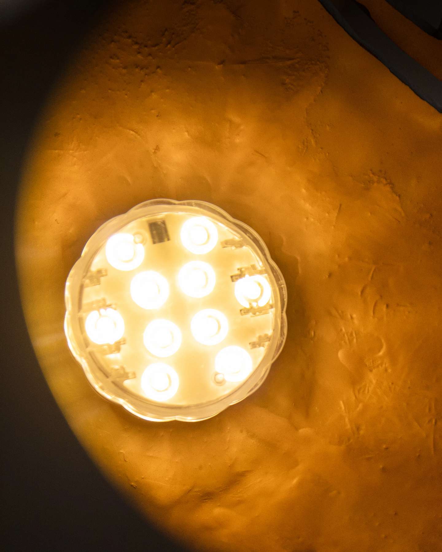 Balsam Hill Black Outdoor Lit Cat-o-Lantern Light Closeup