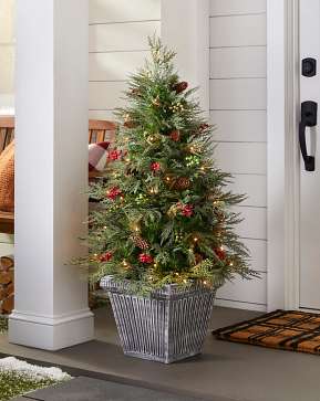 Outdoor Winter Evergreen Potted Tree Outdoor Winter Evergreen Potted Tree