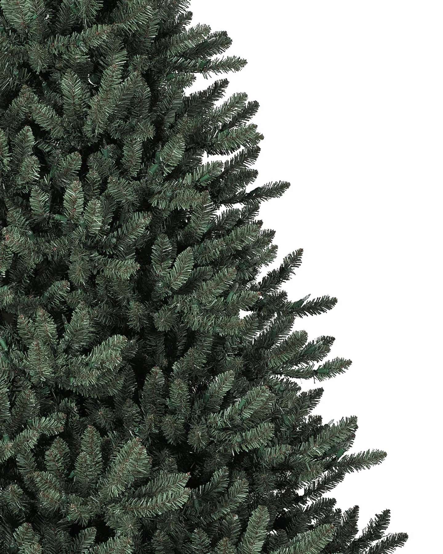 Branch Samples, Set of 16
