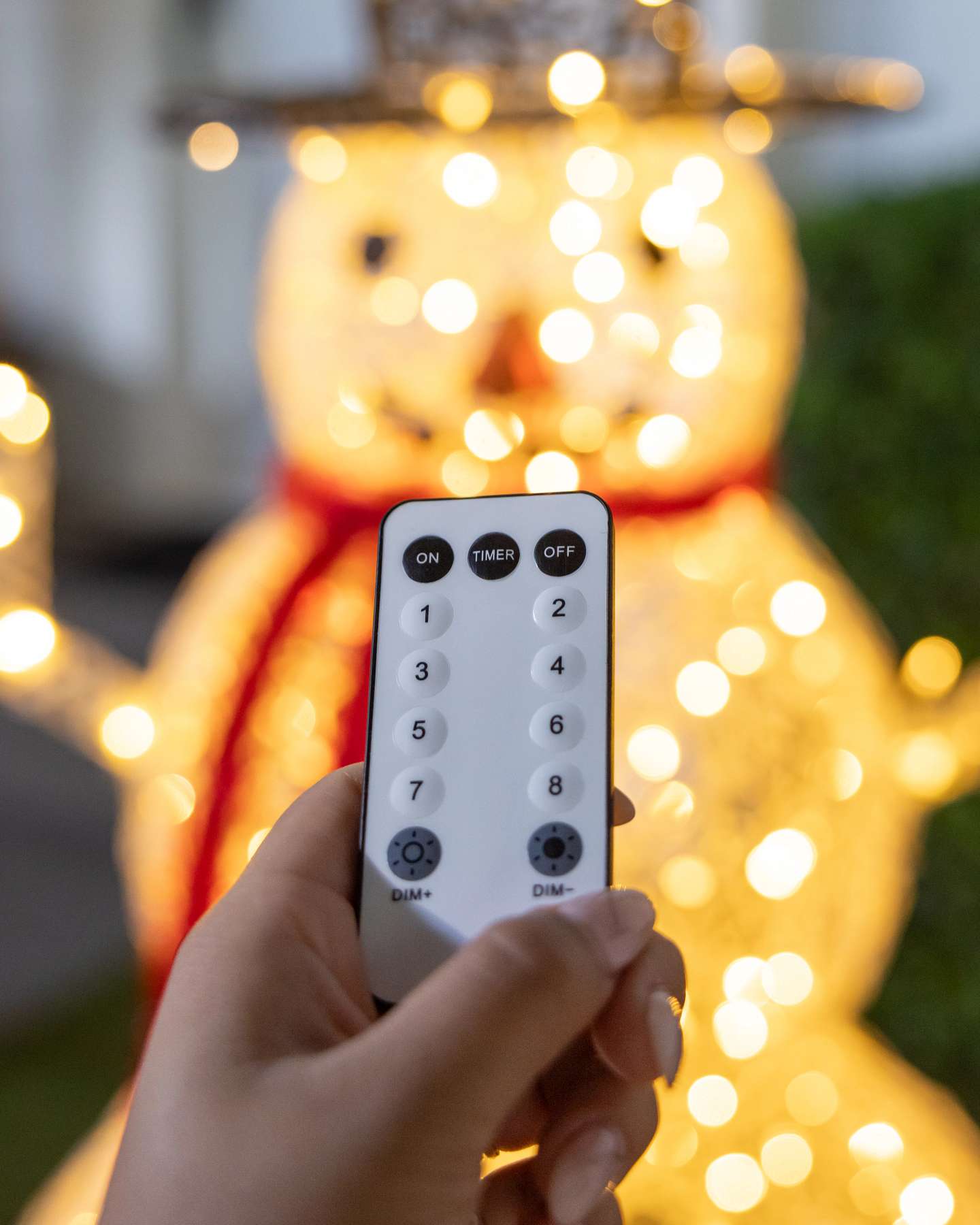 Balsam Hill Outdoor Lit Wintry Wonder Friends Remote Control Feature