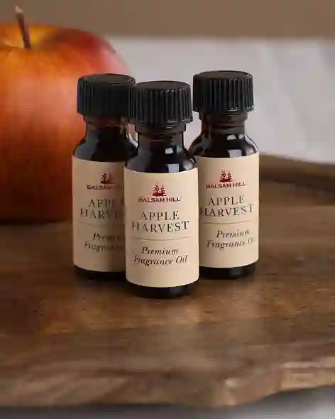 Apple Harvest Scents Of The Season Cartridge, Set Of 3 By Balsam Hill SSC 110