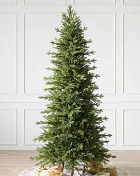 Red Spruce Slim Red Spruce Slim