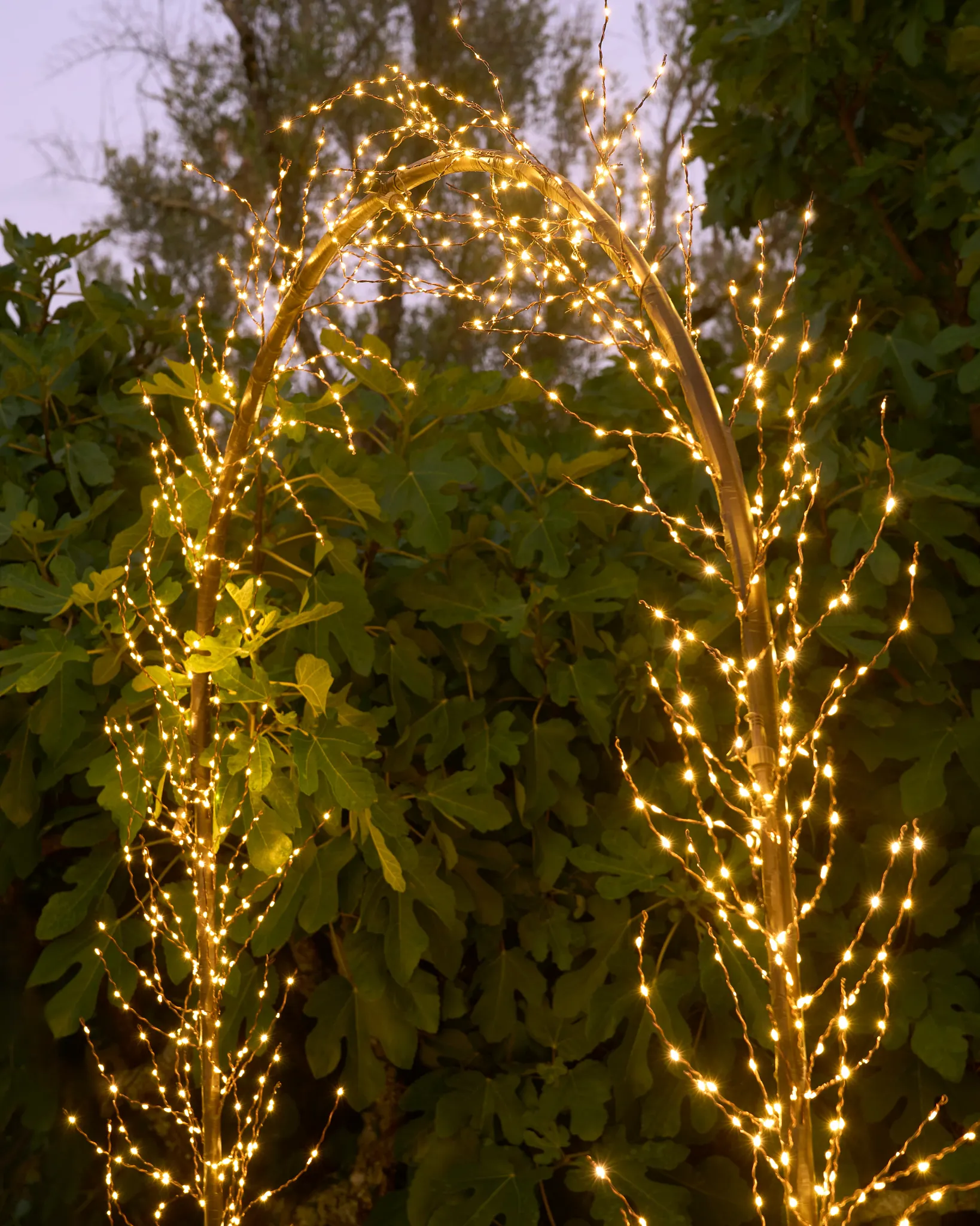 Warm White Cluster Micro LED Arch