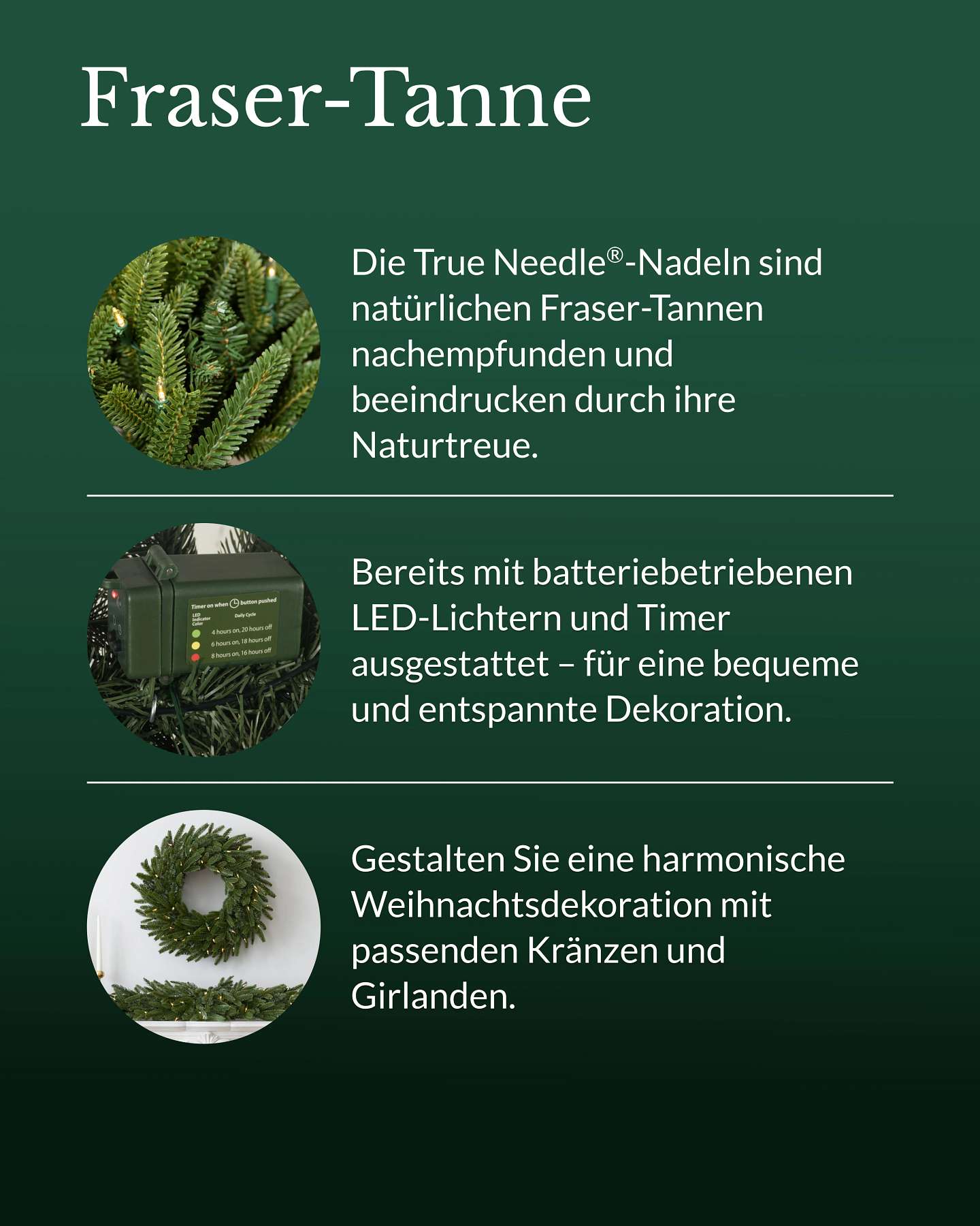 Weihnachtsgirlande Fraser-Tanne