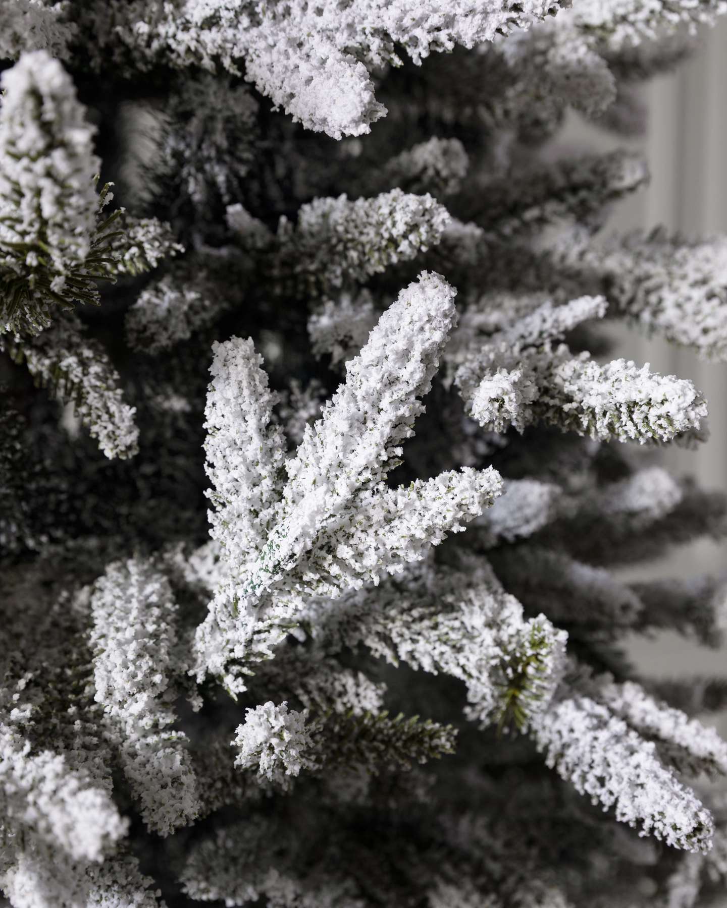 Frosted Silverado Slim by Balsam Hill Branch Detail
