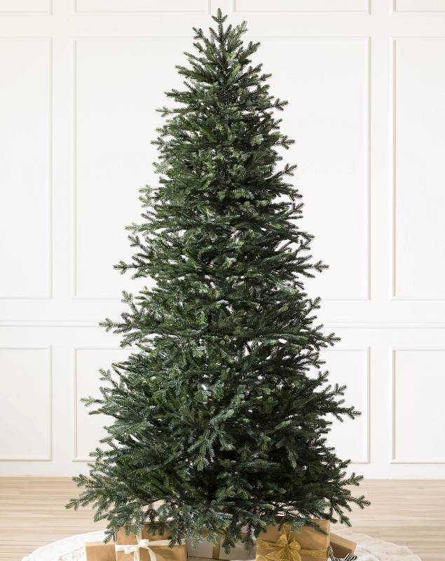 Norway Spruce Child Main by Balsam Hill