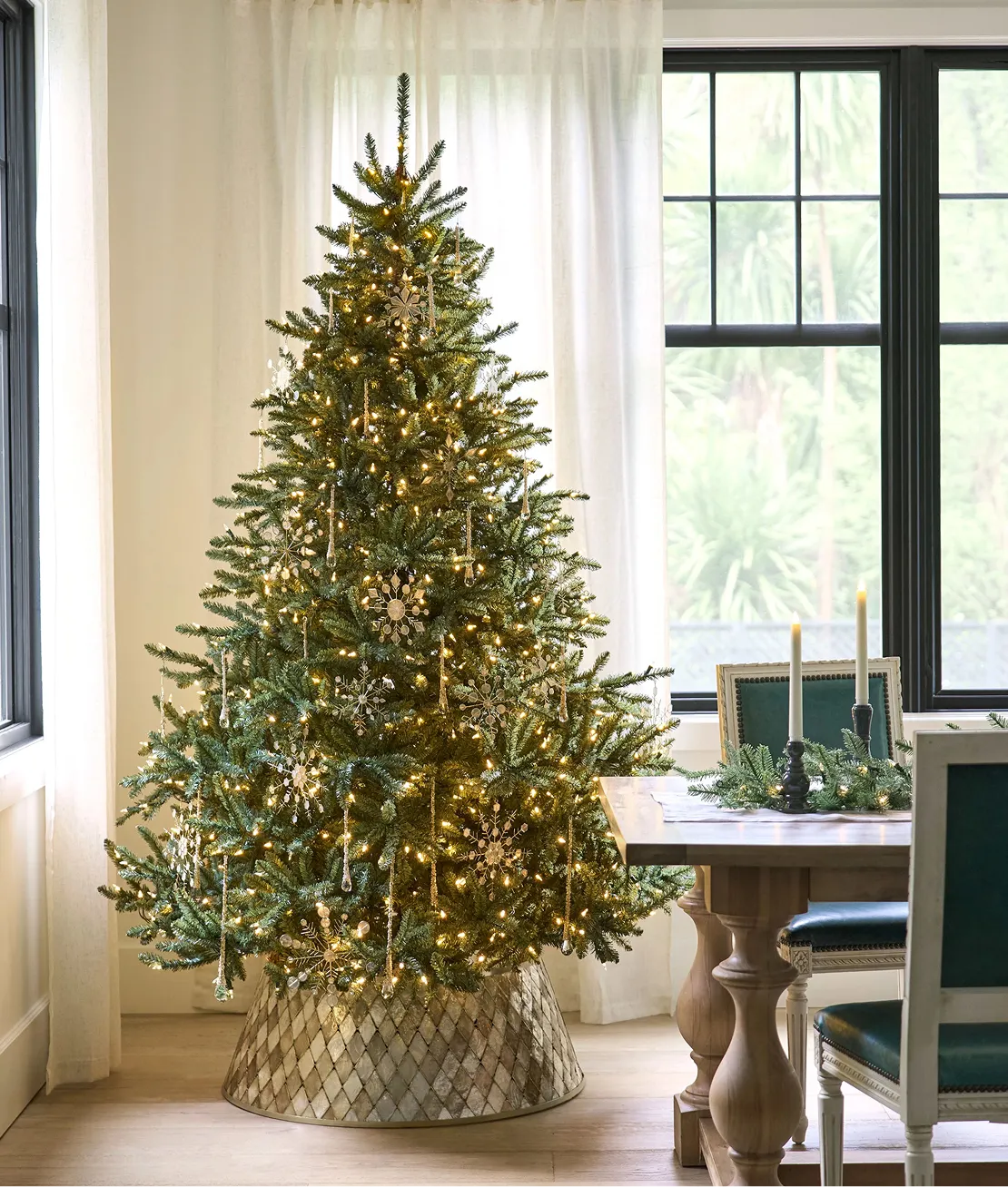 Shop Bestselling Trees