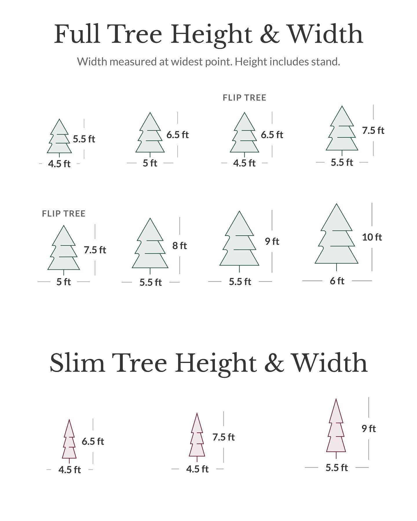 BH Noble Fir