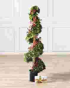 Beacon Hill Cypress Topiary by Balsam Hill SSC 10