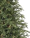Brewer Spruce Tree by Balsam Hill Closeup 10