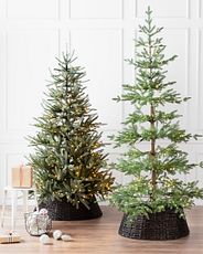 Pre-lit artificial Christmas trees displayed with dark brown woven tree collar