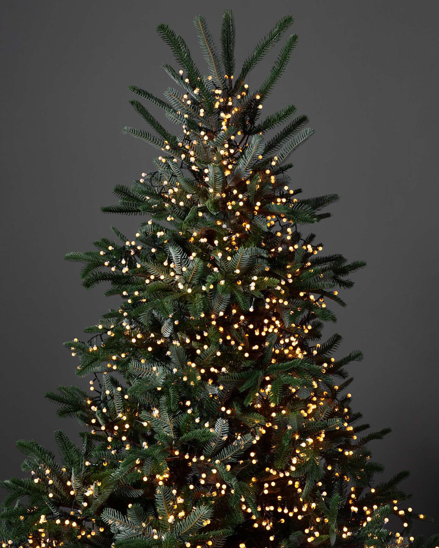Balsam Hill Cherry Light String Lifestyle Tree Display