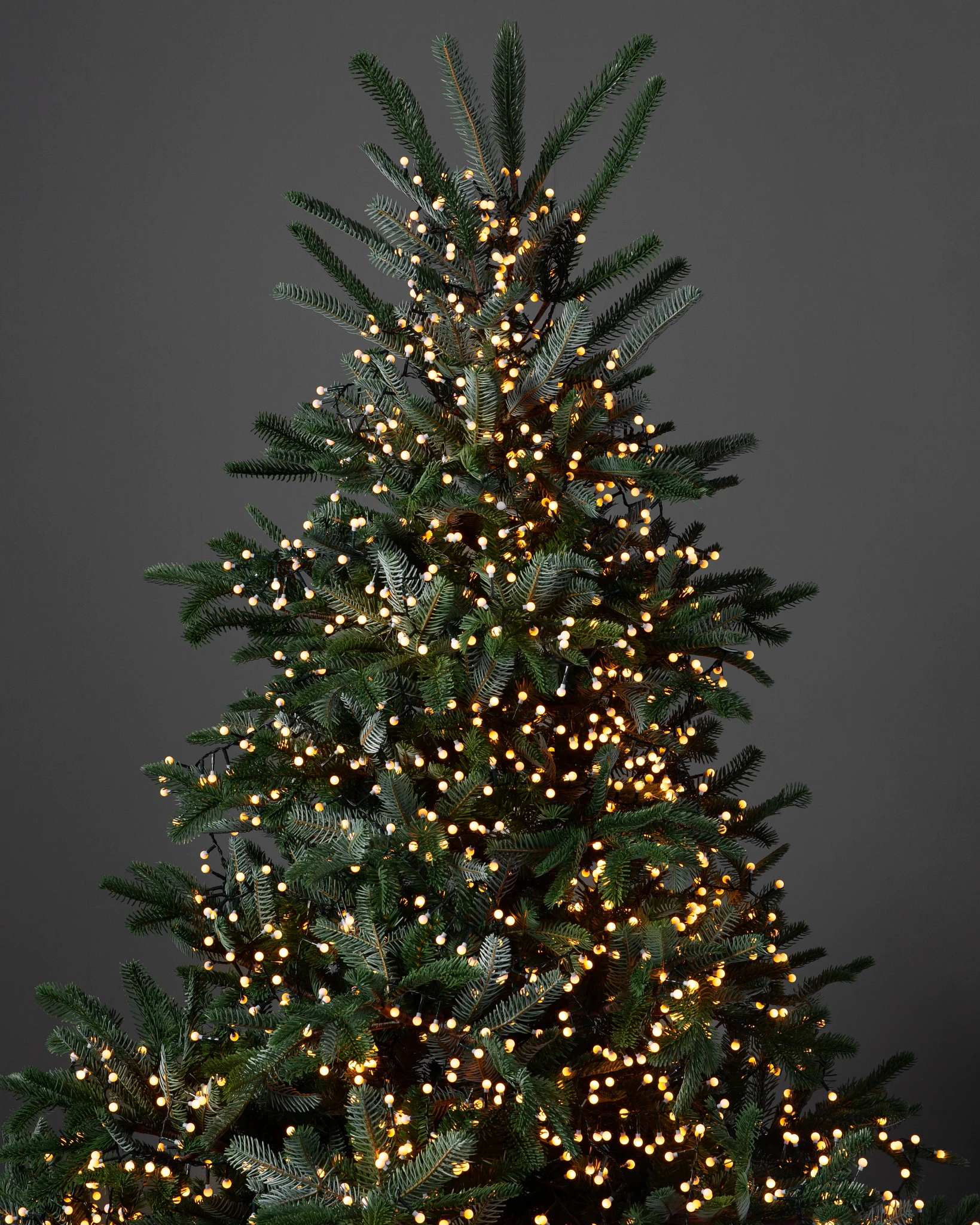 Cherry Light String by Balsam Hill