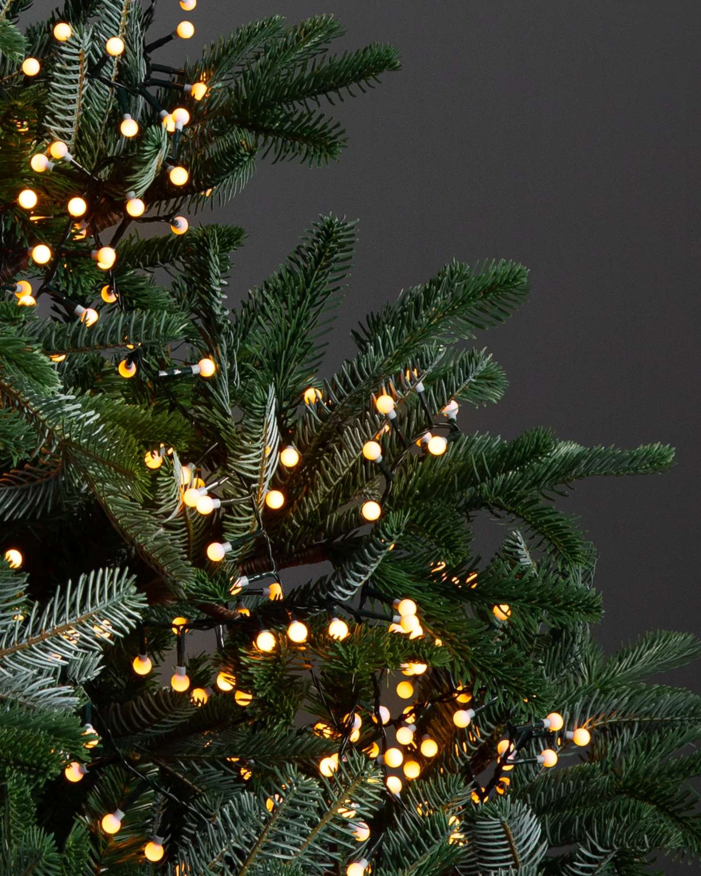 Balsam Hill Cherry Light String Lifestyle Tree Display Closeup