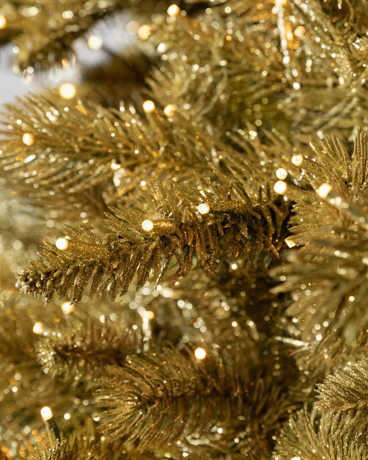 Golden Aspen Estate Fir by Balsam Hill Closeup 20