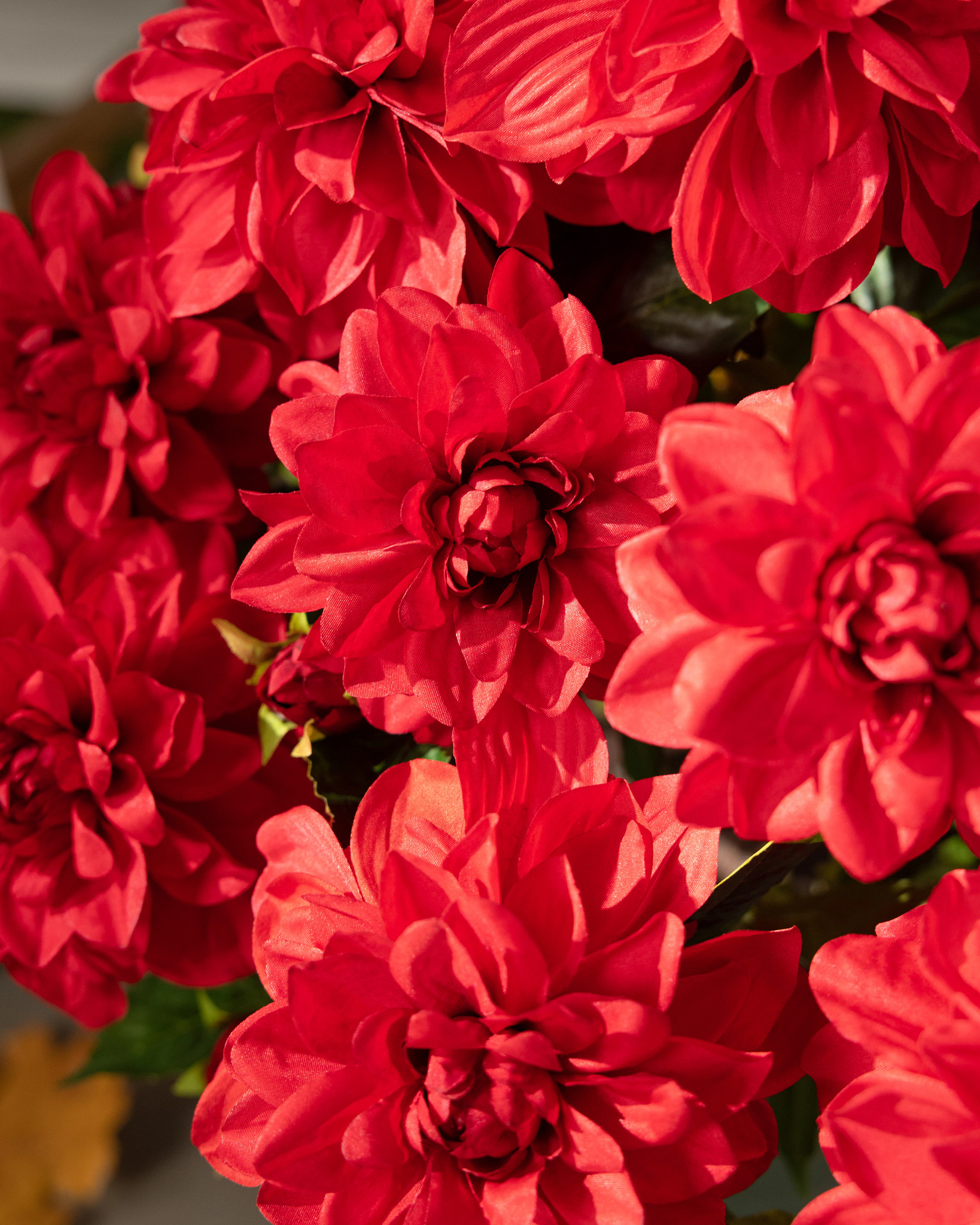 WRG-2331009_Crimson-Outdoor-