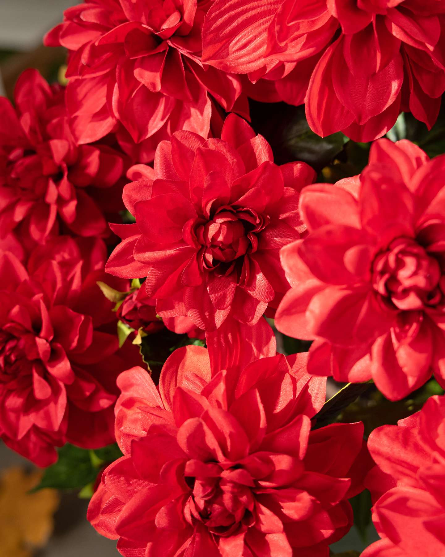 Balsam Hill Crimson Outdoor Vibrant Dahlias Artificial Spring Pot Filler Flower Closeup