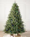 Classic Blue Spruce by Balsam Hill SSC