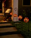 Solar Powered Jack O Lantern Pathway Lights Set of 4 SSC by Balsam Hill