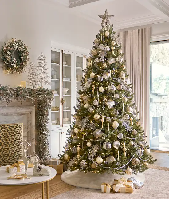 Shop Bestselling Trees