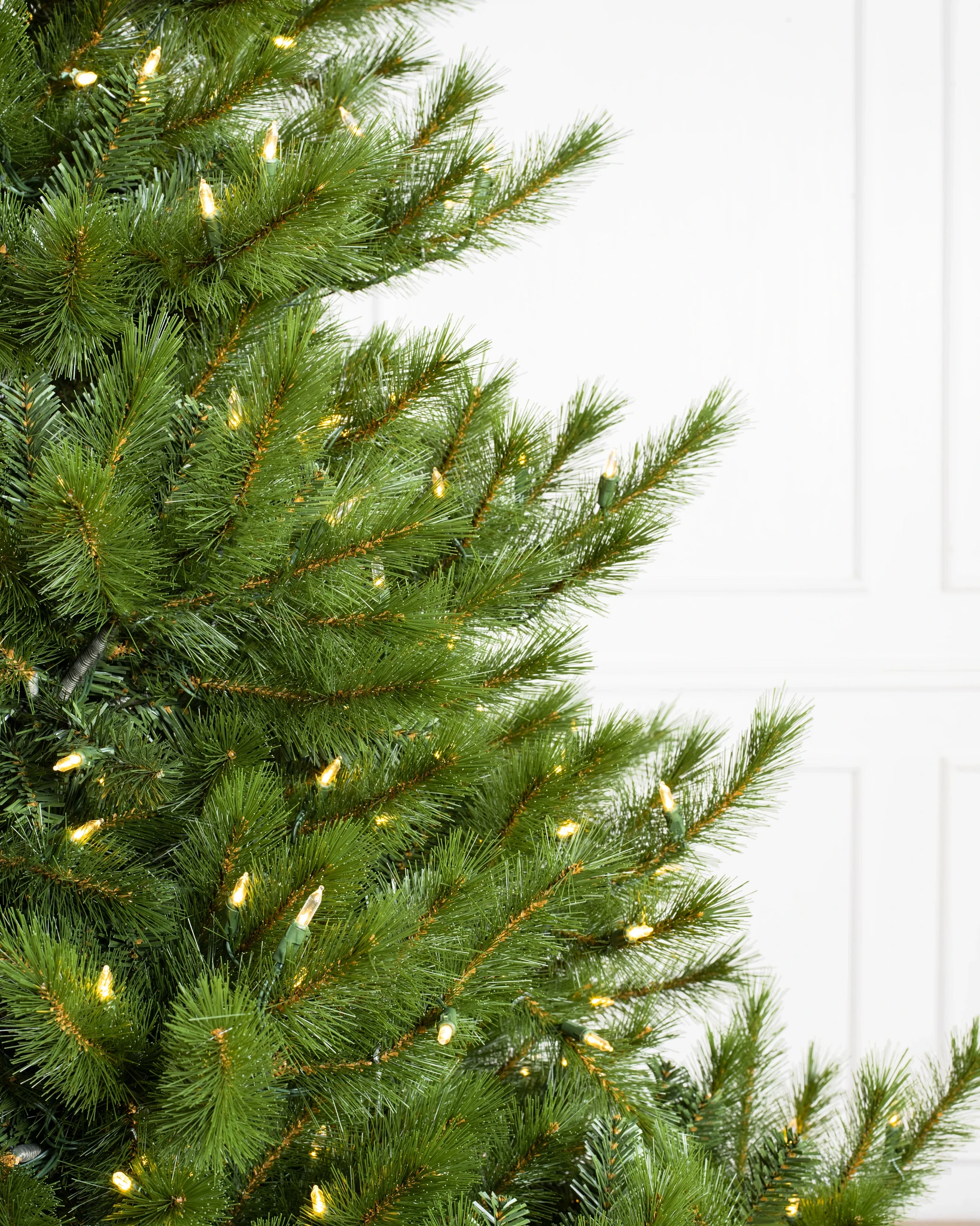Classic Nordmann Fir