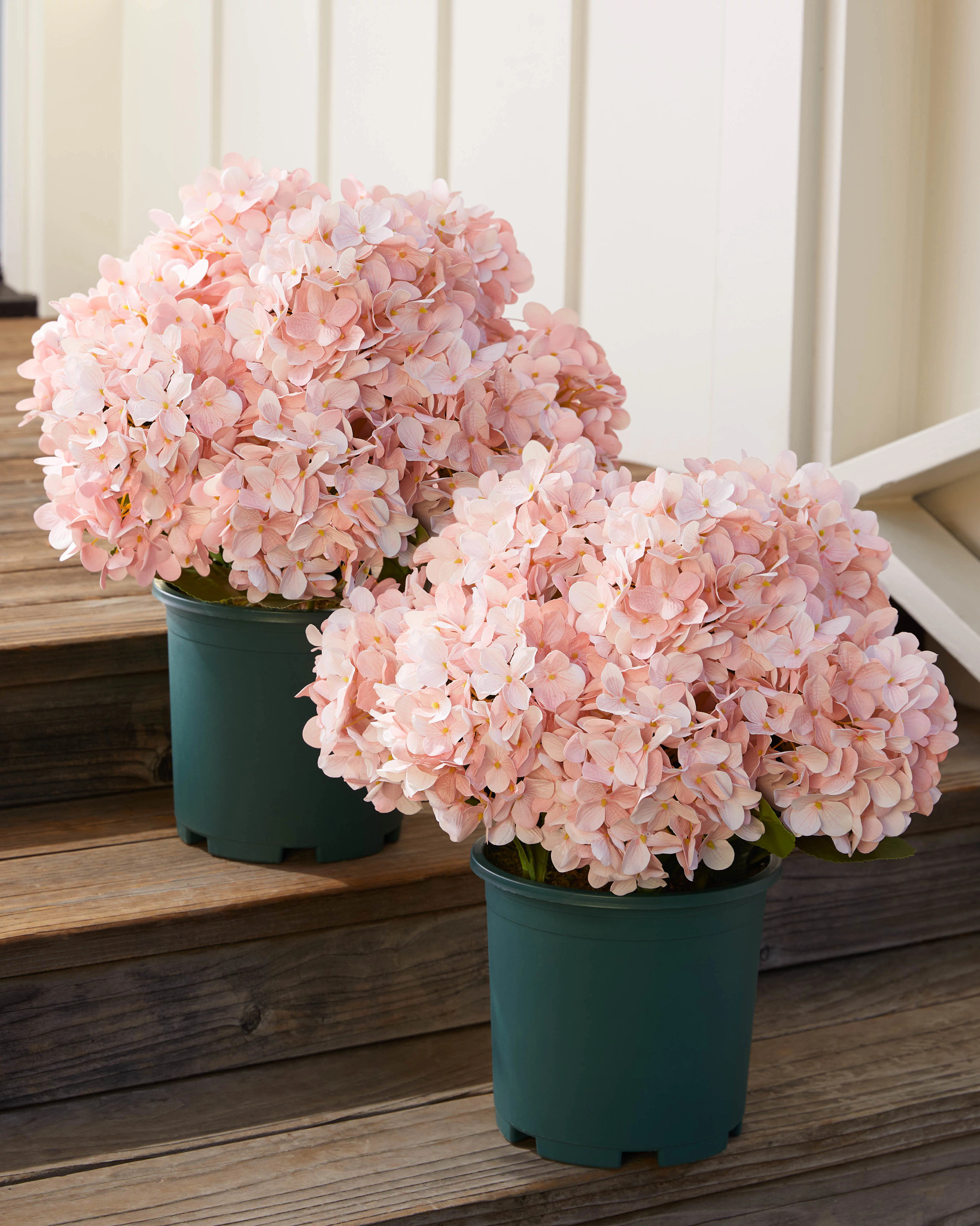 Outdoor Pink Hydrangea Harmony Pot Filler