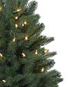 Windsor Potted Spruce Tree by Balsam Hill Closeup 10