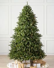 Vancouver Spruce artificial Christmas tree in a white room