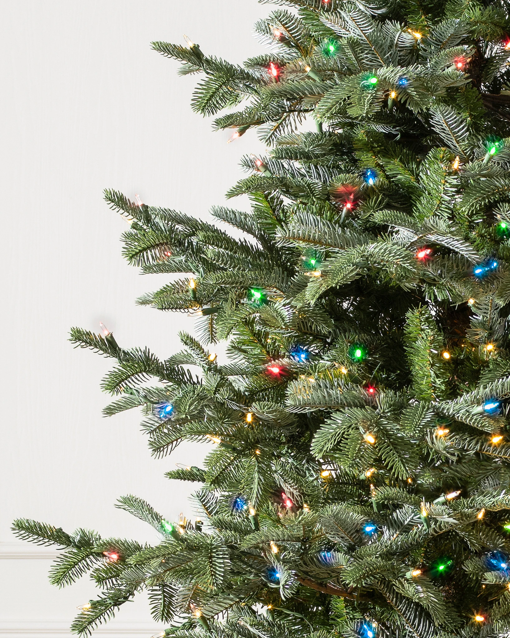 Sapin commun
