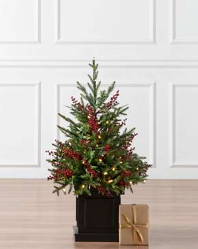 Outdoor Red Berry Evergreen Potted Tree Outdoor Red Berry Evergreen Potted Tree